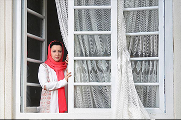 Soheila Golestani Gallery Image